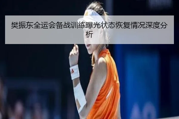 樊振东全运会备战训练曝光状态恢复情况深度分析