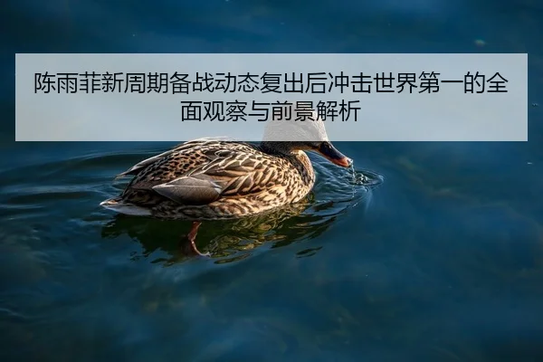 陈雨菲新周期备战动态复出后冲击世界第一的全面观察与前景解析